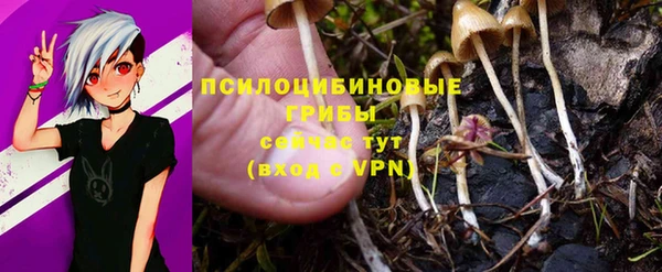 спиды Лихославль