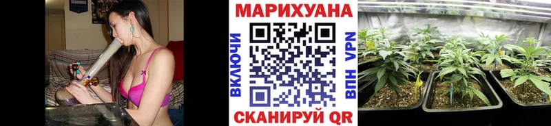Конопля Amnesia  Шелехов 
